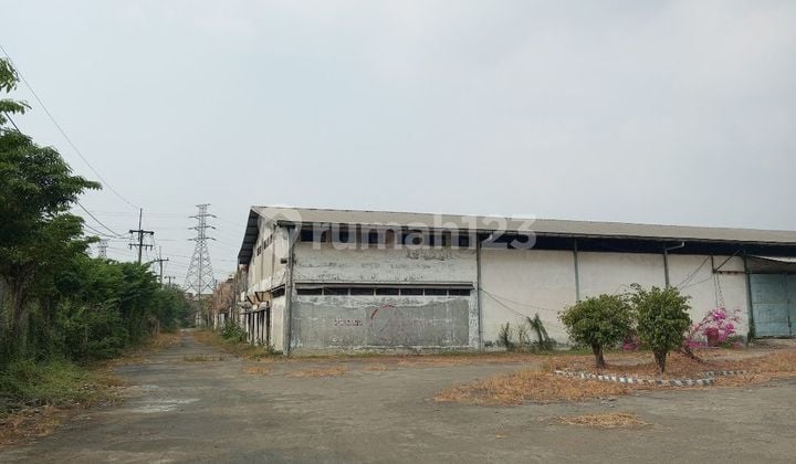 For Quick Sale: Factory Warehouse in Prime Location, Krikilan, Driyorejo, 60,000 m² HGB