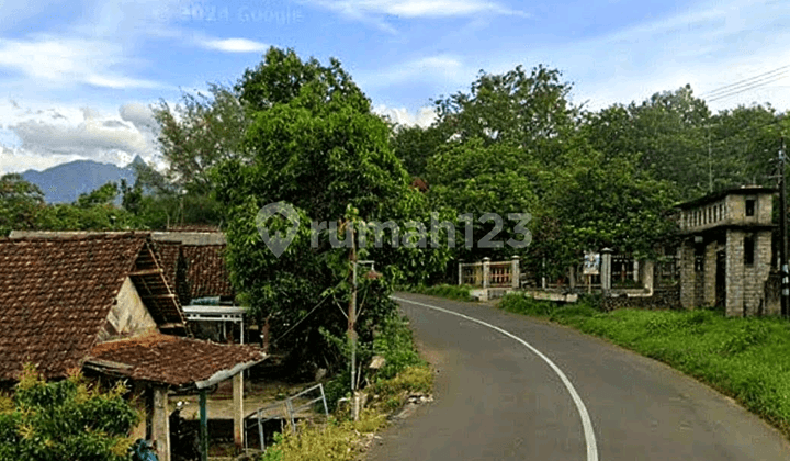 Dijual Cepat Lahan Perkebunan Durian Pulosari Wonosalam Jombang