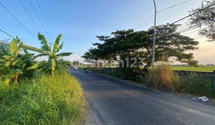 Disewakan Lahan Komersial Raya Lakarsantri Driyorejo Surabaya