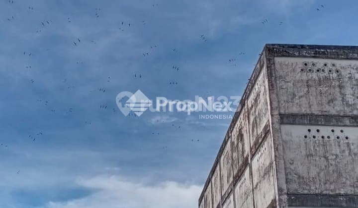 Jual Cepat Rumah Walet Produktif Samarinda