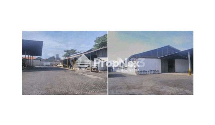 Pabrik Pengolahan Kayu Probolinggo Kota