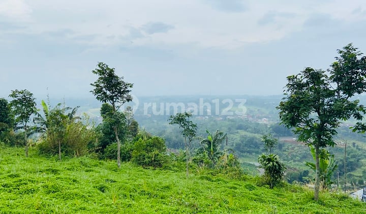 Tanah 3,7 Hektar Di Cijeruk View Gunung View Sawah