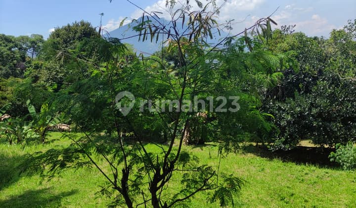 Tanah Bagus di Gunung Geulis Pasir Angin View Gunung