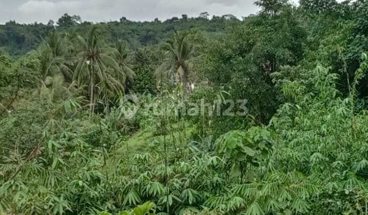 Investasi Dijual Tanah Bagus Di Desa Kuripan Ciseeng