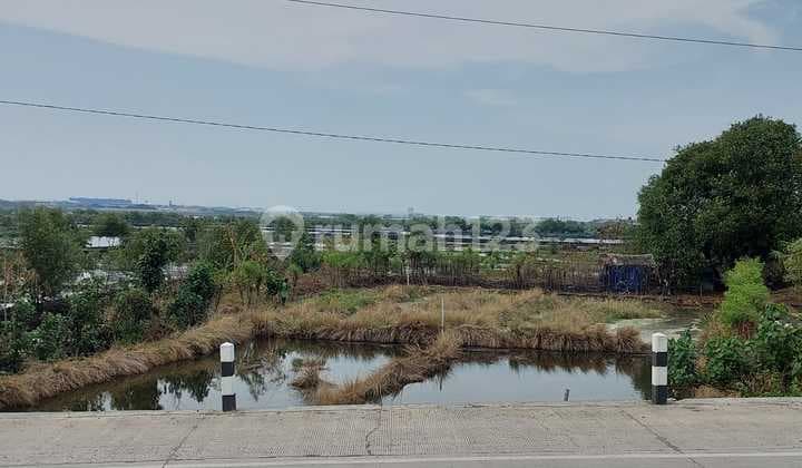 Tanah Strategis Siap Dibangun di Jalan Lingkar Kaliwungu Kendal