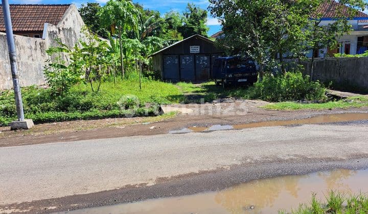 Tanah 500 m² SHM sedikit gentong di Jenggawah