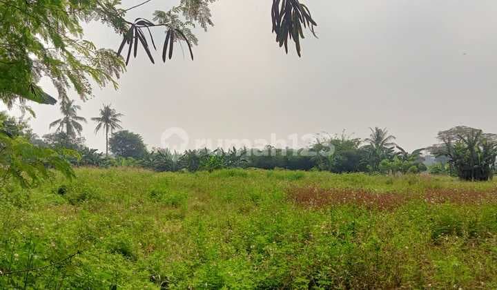 Empty Land 10 hectares Location Kemiri, Tangerang