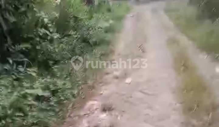 Tanah Kosong 1,5 Ha Daerah Buniayu, Sukamulya, Tangerang