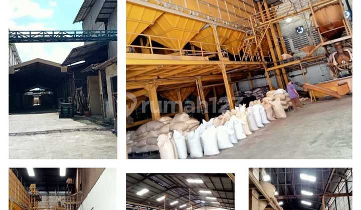 Pabrik Biji Coklat Kawasan Industri di Jati Uwung, Tangerang