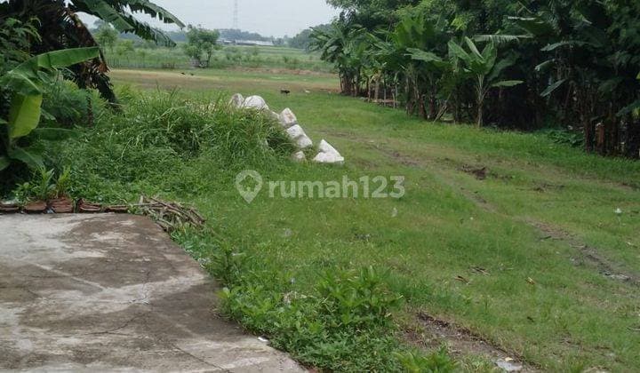 Lahan Sawah Luas Cocok Untuk Usaha Lokasi Strategis di Kresek Tangerang