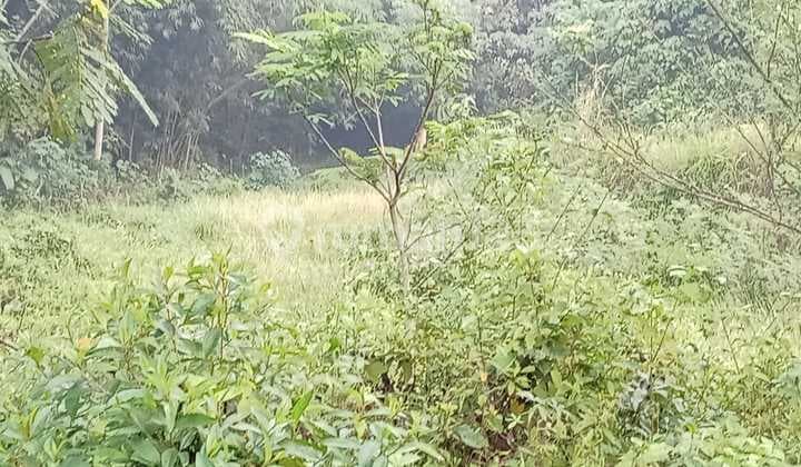 Empty Land on the Side of Cikande Highway, Serang, Banten
