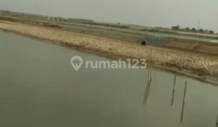 Large 18-Hectare Vacant Land Suitable for Business in Karawang, West Java