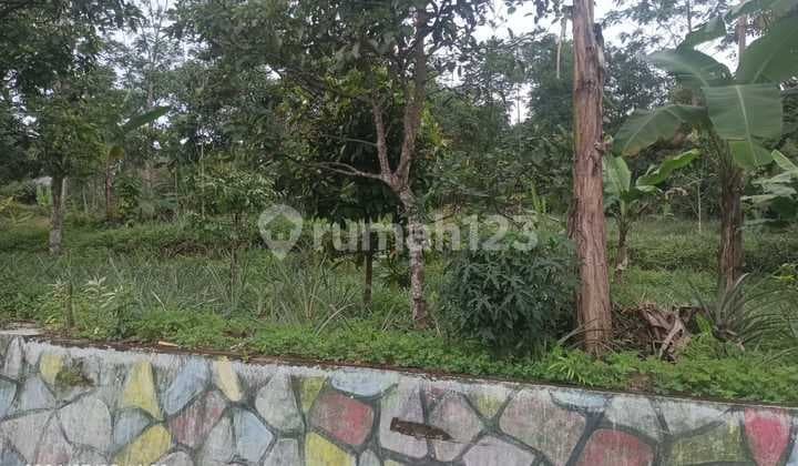 Lahan Cocok Untuk Bangun Rumah Atau Villa di Ciater, Subang, Jawa Barat