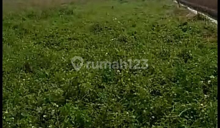 Empty Land 13.6 ha, Freehold Title, Neglasqari, Tangerang