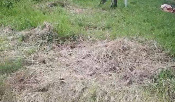 Empty Land Suitable for Building a House Location Cengklong, Tangerang