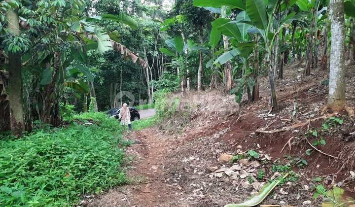 1.4 Ha of Vacant Land in Cikalongkulon, Cianjur, West Java