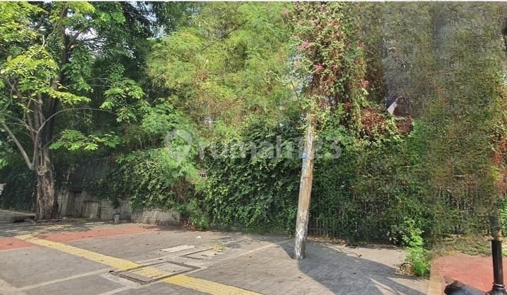 For Sale: Sunter Business Space
