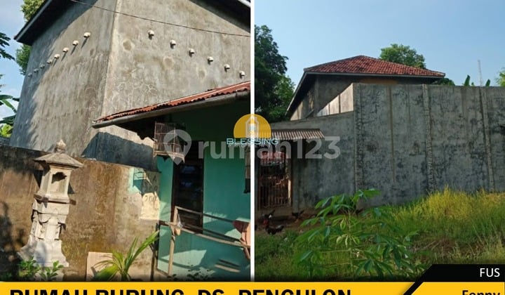 Rumah Burung Siap Pakai di Desa Pegulon Bali