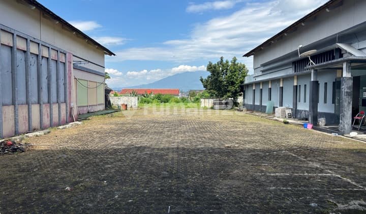 Dijual Tanah Di Ngesrep Timur Area Undip Tembalang