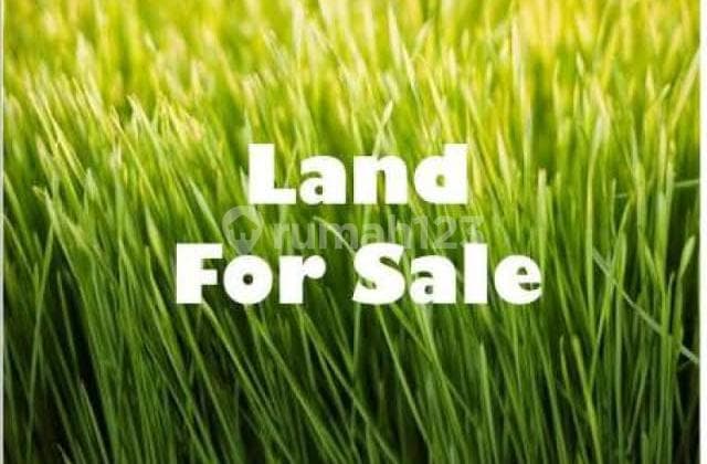 Dijual Kavling Wallstreet Pik2 Gandeng Pantai Indah Kapuk 2