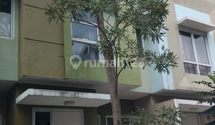 Disewa Rumah Arcadia Gading Serpong Dekat Kuliner