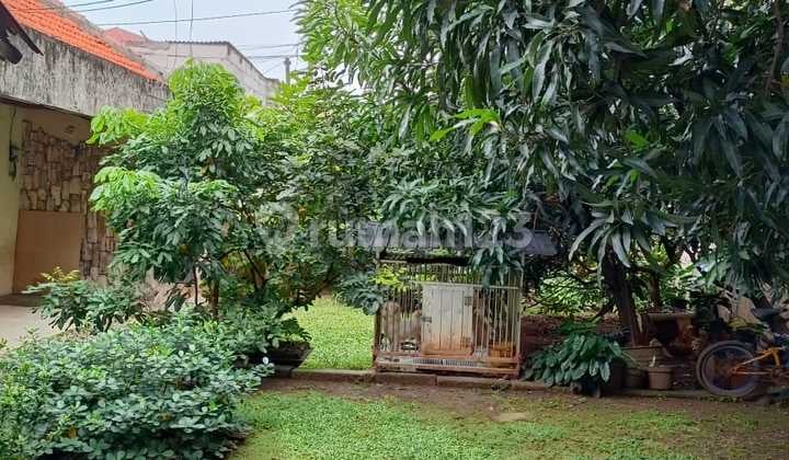 jual rumah hitung tanah saja, lokasi strategis, bebas banjir
