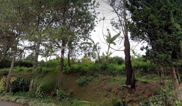 Kavling Mainrod Villa Istana Bunga Ada View Lembang