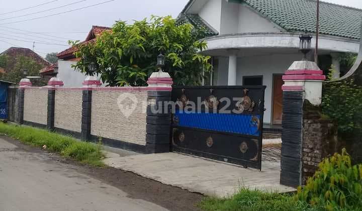 Rumah dan Sarang Burung Walet Brebes, Jawa Tengah