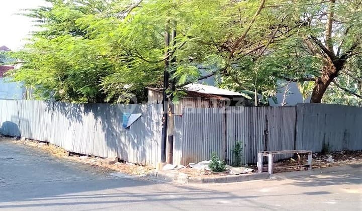 Hook Lot, Good Price at Citra Garden. 0015 Chr