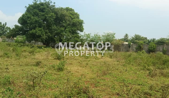 Kavling Luas di Dangdang Cisauk Tangerang Lokasi Strategis
