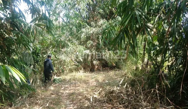 Dijual Cepat Kavling Di Sumedang