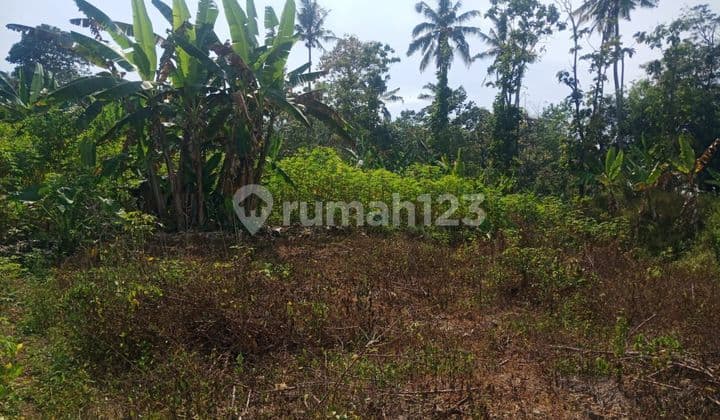 Dijual Cepat Kavling Di Sumedang