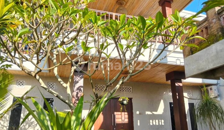 For Rent 3 Bedrooms House In Mengwi Area