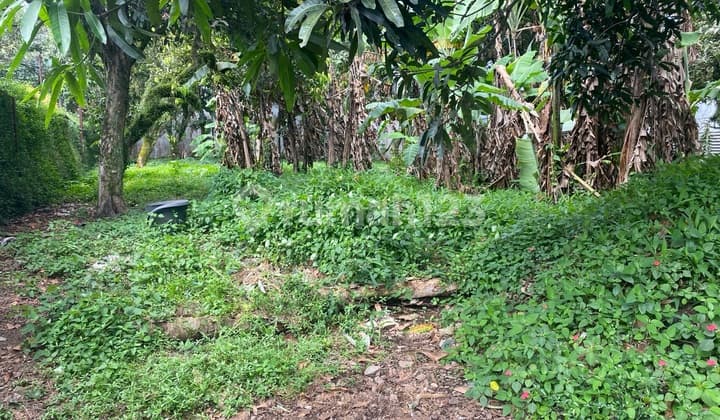 Tanah Karang Tineung Bebas Banjir Cocok untuk Cluster dan Rumah