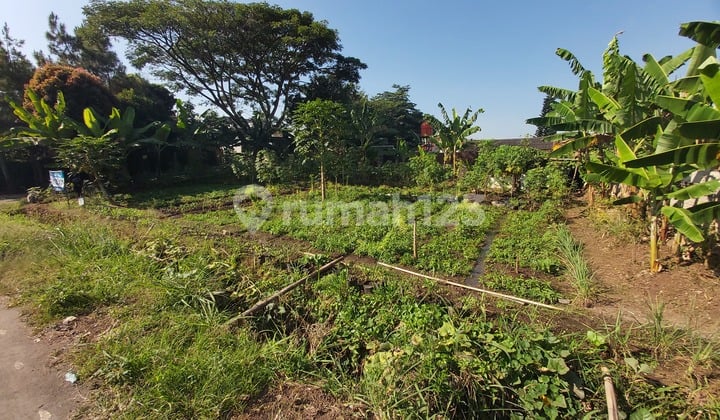 Dijual Tanah Kavling Hook Dekat Gegerkalong & kampus Upi Cocok Buat Kostan atau Vila
