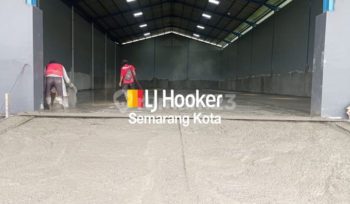 New Warehouse in the Banjardowo Area