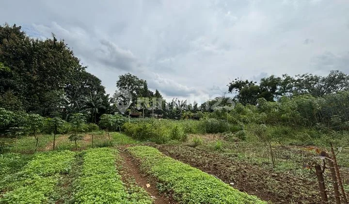 Land for Rent on Jalan Raya Cimuning, 10,000M2, Suitable for Warehouse or Workshop, 5 KM from Burangkeng Toll Road, Cimuning Bekasi