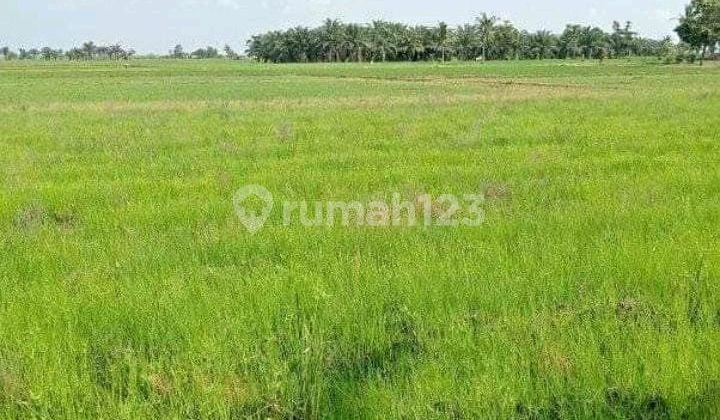 Plot Land Within a Cluster in Lebak Bulus Near Tb Simatupang Business Center