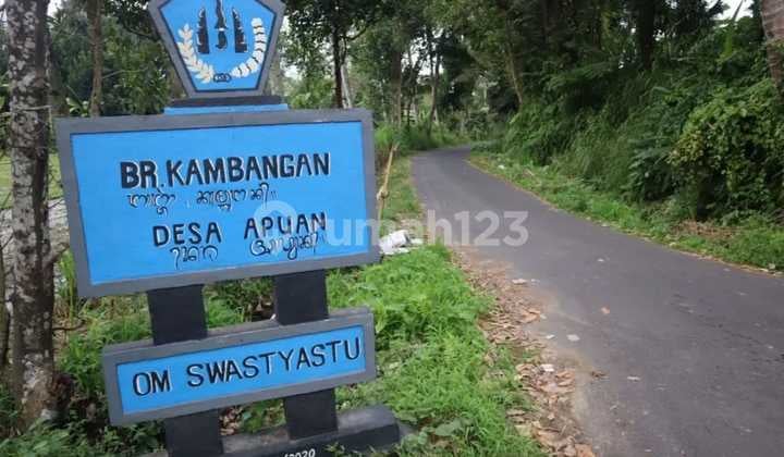 Tanah Kebun Murah Dekat Jatiluwih Tabanan Bali