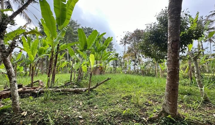 Tanah Datar View Gunung Dan Lembah Payangan Ubud Gianyar Bali