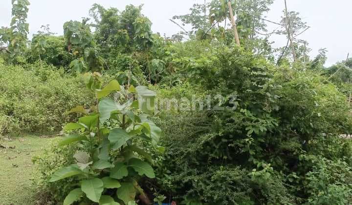 Tanah Dekat Pantai Balangan Lingkungan Vila Balangan Kusel Bali