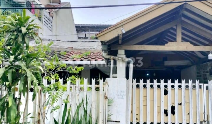 Rumah Kayu Putih Hitung Tanah L188 Murah Lokasi Asri Strategis