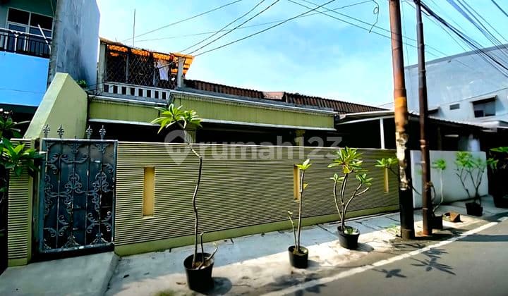 Rumah Murah Bagus Lt 282 di Cempaka Putih