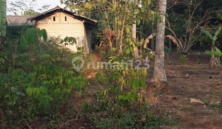 Tanah strategis hitung tanah, ada sarang wallet di kalijati subang