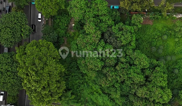 The Last Prime Hook In Simprug