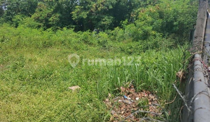 Tanah 6.000 Meter di Jl. Alternatif Cibubur Cileungsi Bogor