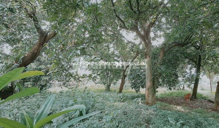 Tanah Kavling 6800m Cocok Untuk Bisnis di Jl Raya Lenteng Agung