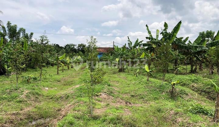 Tanah Luas 3.040 M2 Lokasi Belakang Mall Aeon Bsd Tangerang