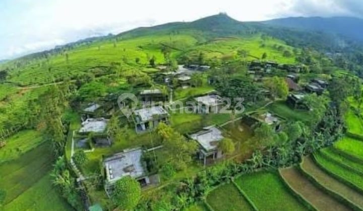 Resort Subang Regency Di Ciater. Bandung Jawa Barat