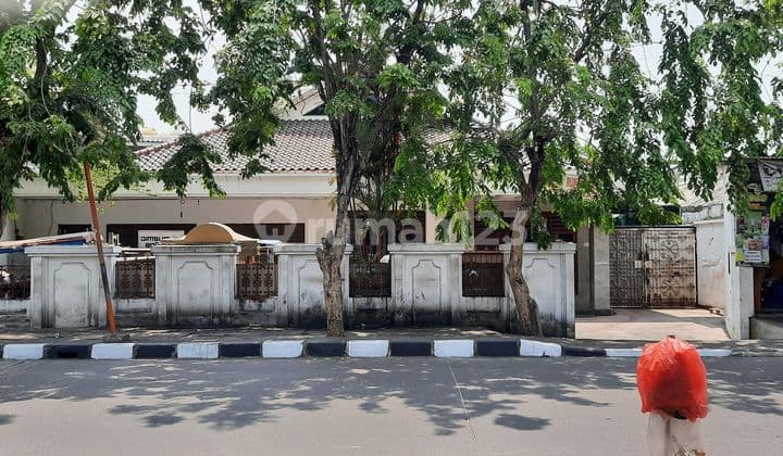 Beli Tanah Dapat Rumah 300m, Model Ngantong Di Plumpang